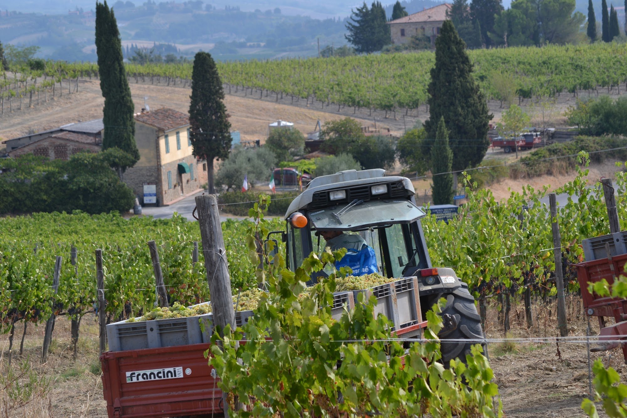 Authentische Weinprobe in der Toskana