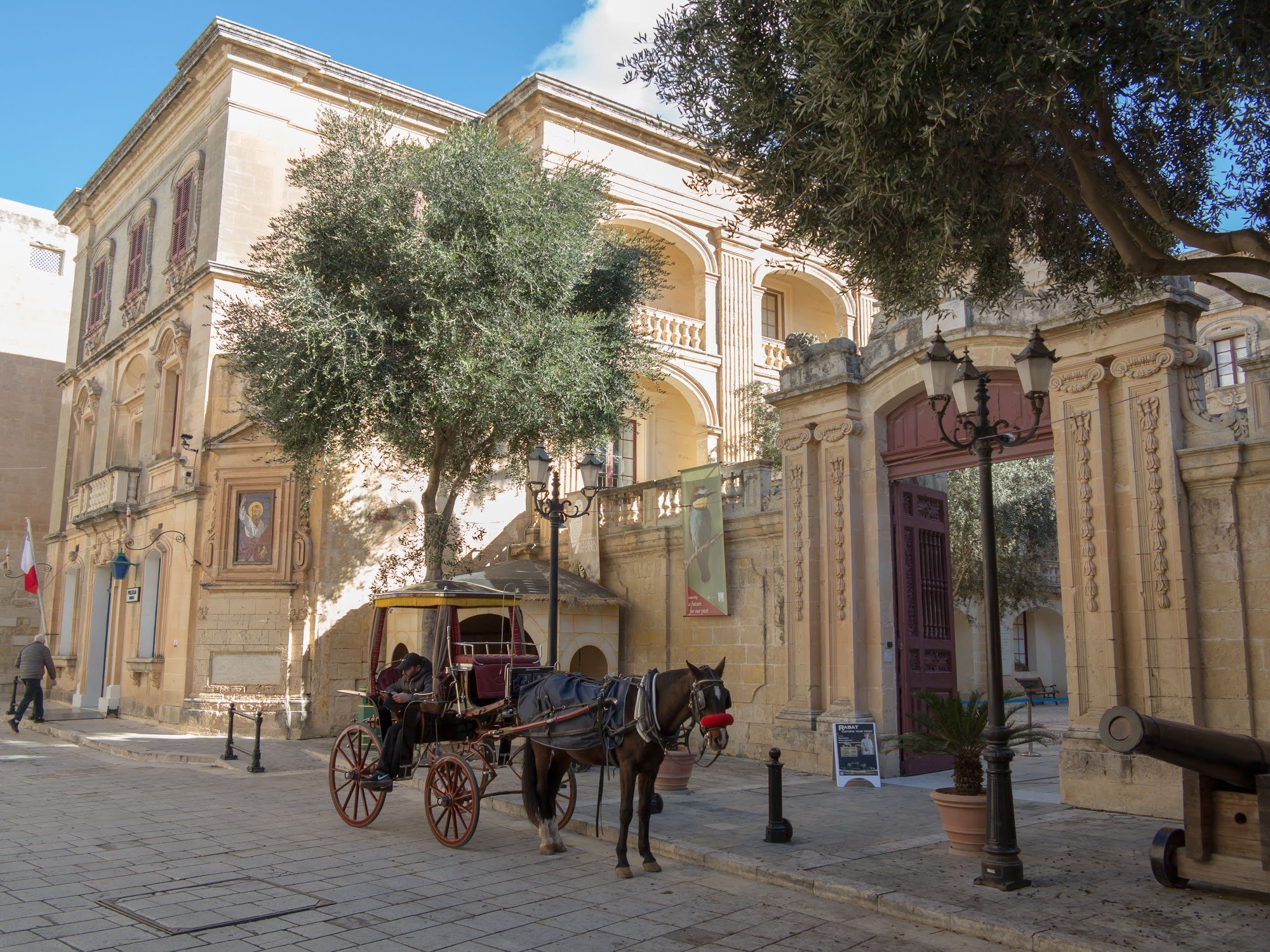 Entdecke Maltas Naturgeschichte
