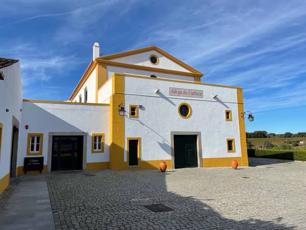 Von der Traube bis zum Wein in Évora