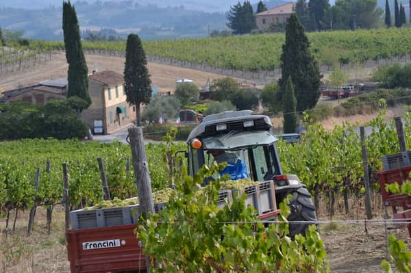 Authentische Weinprobe in der Toskana