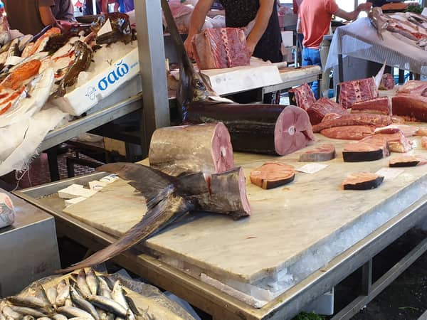 Buntes Treiben im Fischmarkt