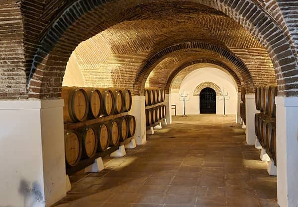 Von der Traube bis zum Wein in Évora