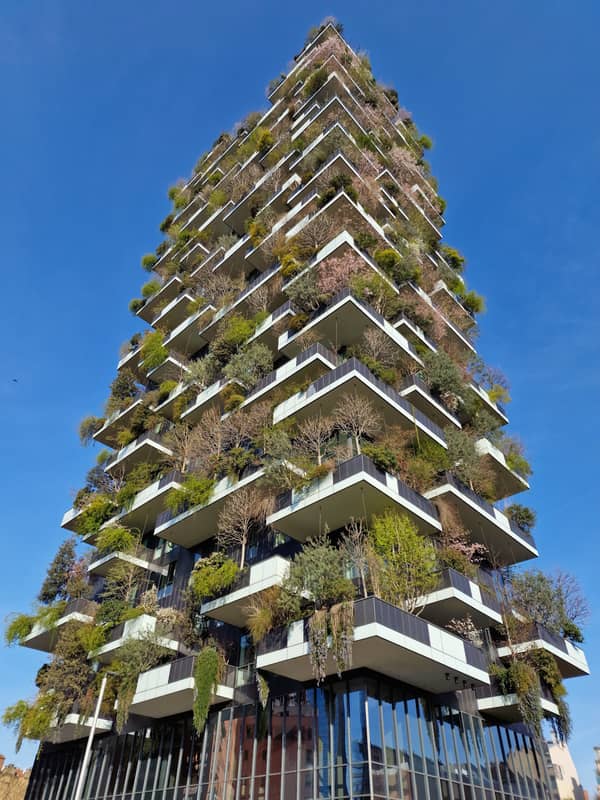 Grüne Oasen inmitten moderner Architektur