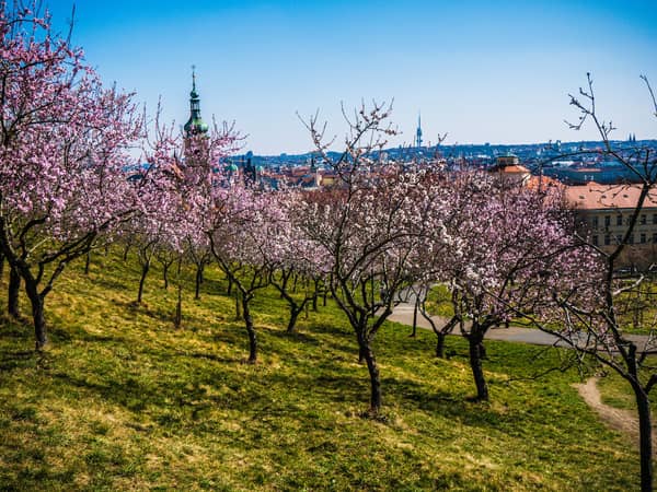 Entspannung und Aussicht im grünen Herzen Prags