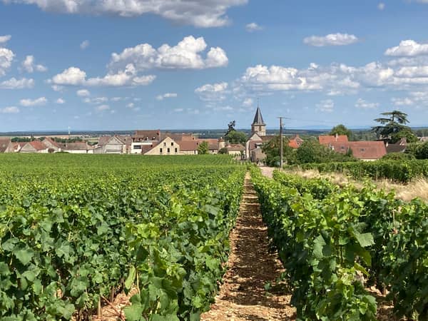 Genieße Burgunds Weinlandschaft