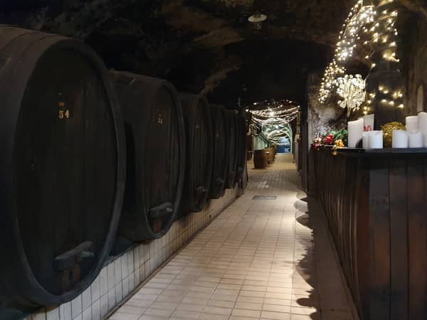 Einzigartige Einblicke in die Welt der Weine im Weinmuseum Vinag 1847