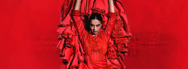 Tauche ein in die Welt des Flamencos