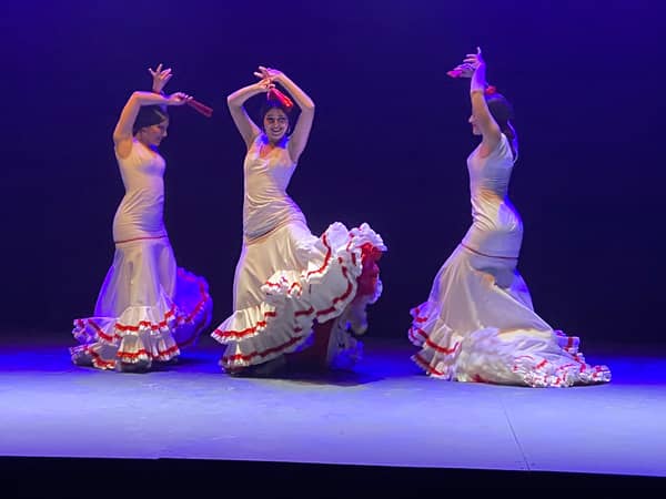 Tauche ein in die Welt des Flamencos