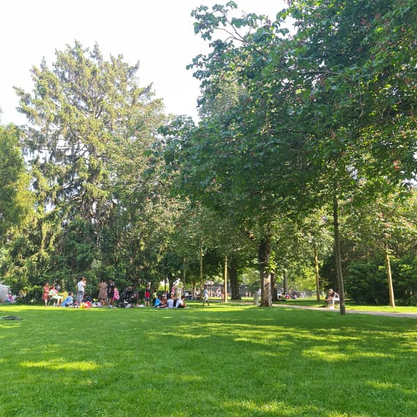 Picknick unter alten Bäumen